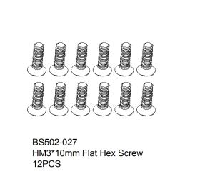 HM3x10mm Flat Hex Screw   12PCS